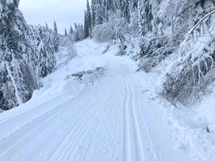 Det var gode forhold mellom Ulevann og Mellomdammen i Krokstadelva i romjula. (Foto: Jørgen Mathiesen)